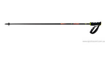 Горнолыжные палки FISCHER RC4 The Curv CF-Z30019