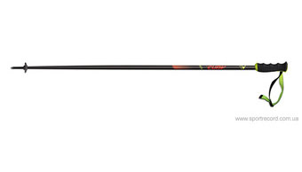 Горнолыжные палки FISCHER RC4 THE CURV CF-Z30119