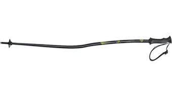 Горнолыжные палки FISCHER RC4 GS JR-Z33117