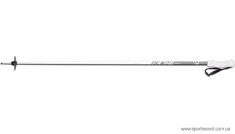 Горнолыжные палки FISCHER RC One AL-Z32820