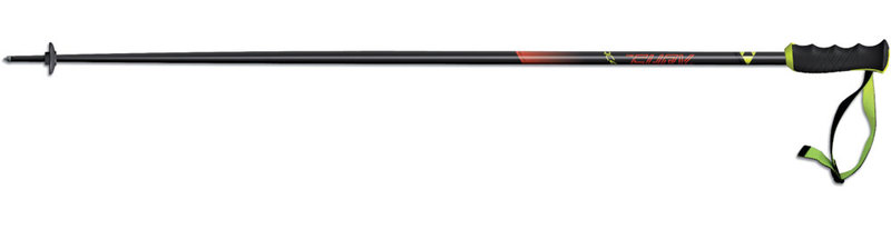 Горнолыжные палки FISCHER RC4 THE CURV CF-Z30118