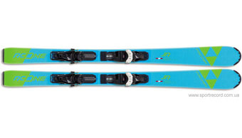 Горные лыжи FISCHER RC ONE-A21319