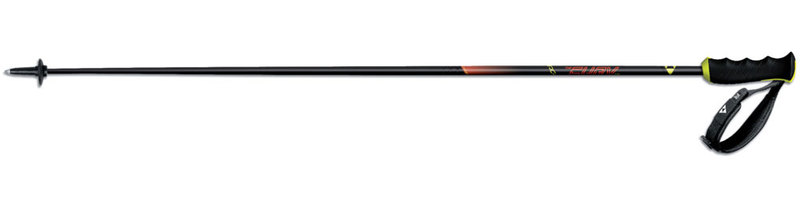 Горнолыжные палки FISCHER RC4 CARBON-Z30018